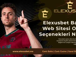 Elexusbet Bahis Web Sitesi Oyun Seçenekleri Nedir